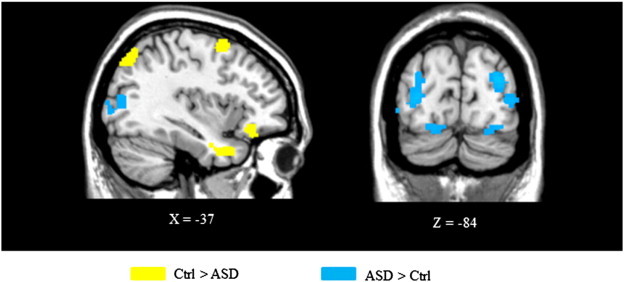 Fig. 4