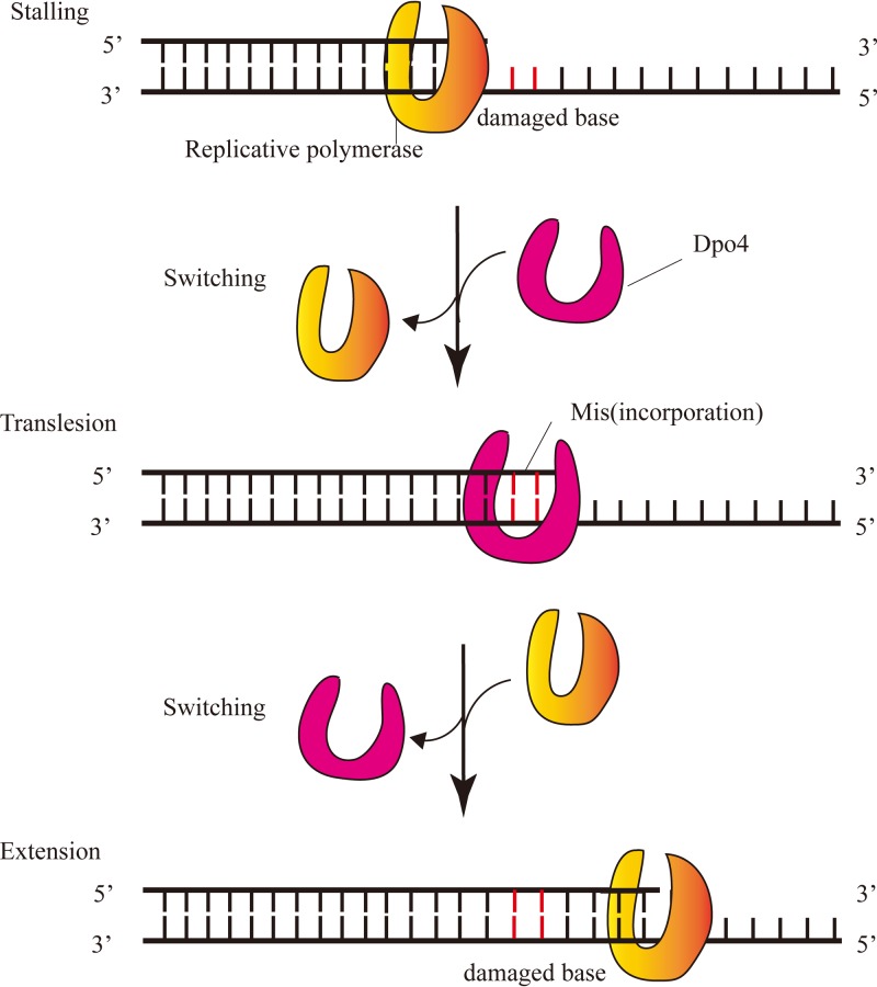 FIG 1