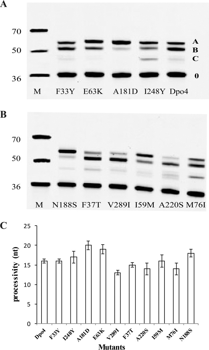 FIG 2