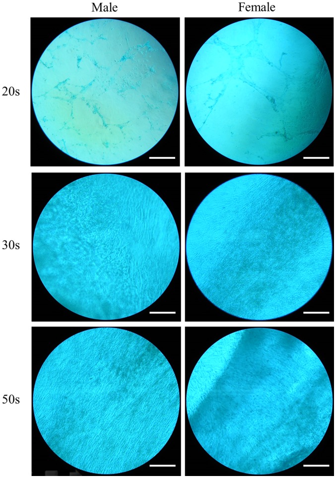 Figure 10.