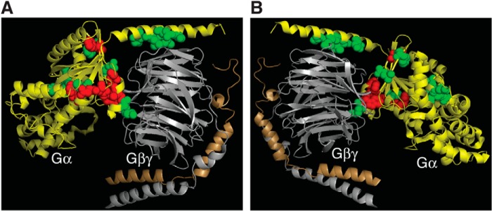 FIGURE 3.