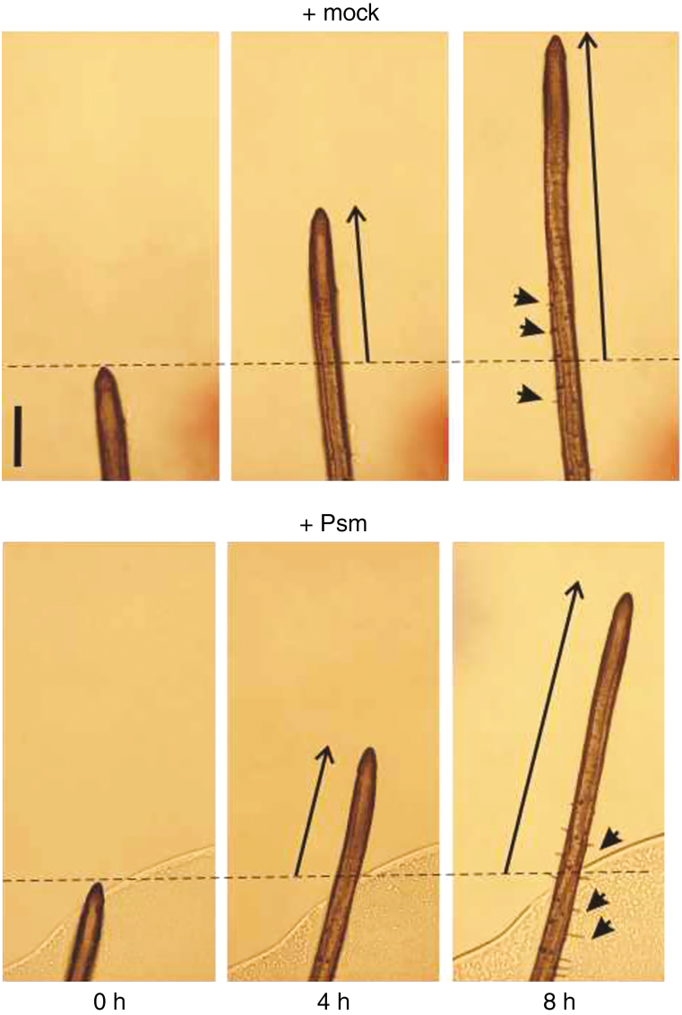 Fig. 3.