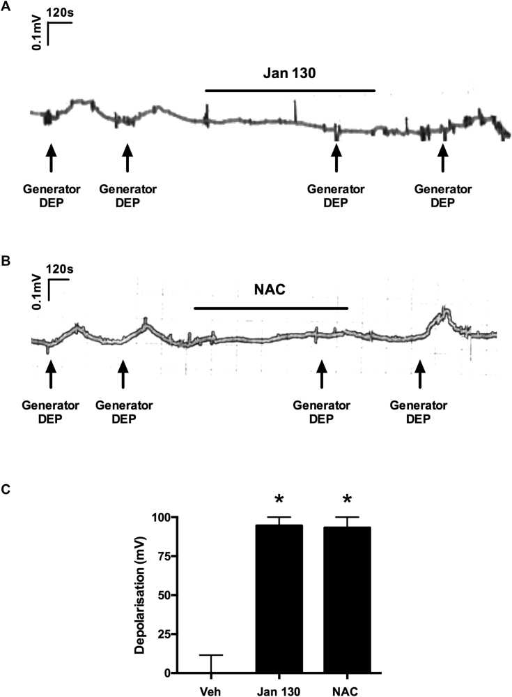 Fig 5