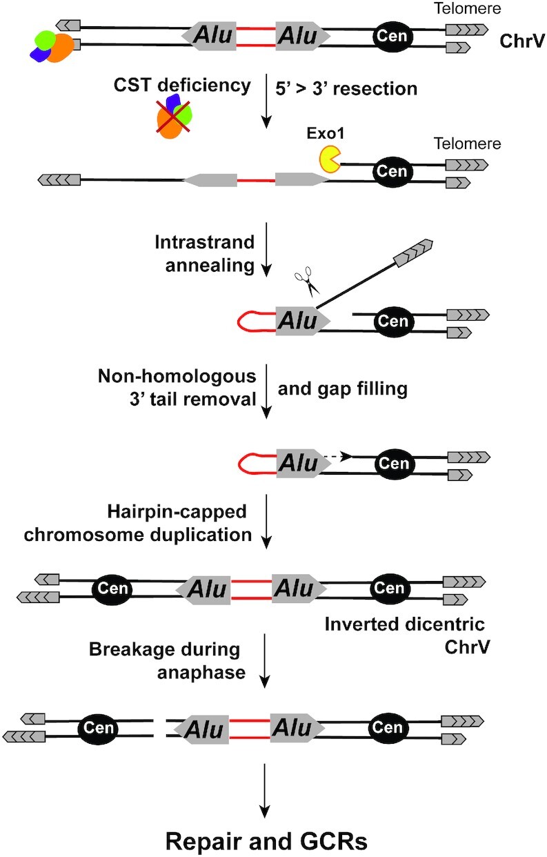 Figure 7.