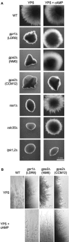 Figure 5.