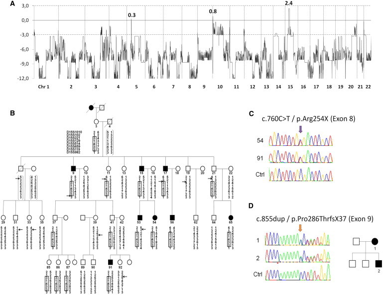 Figure 1