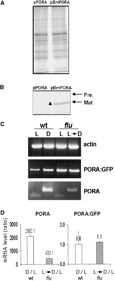 Figure 9.