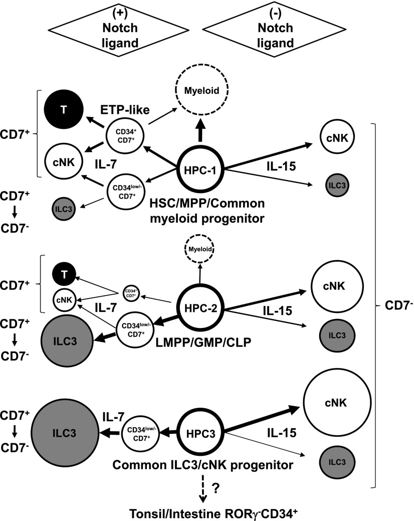 FIGURE 10.