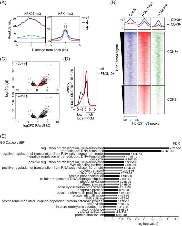 Figure 5—figure supplement 1.