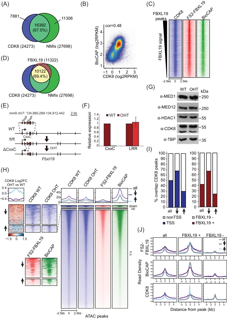 Figure 4—figure supplement 1.