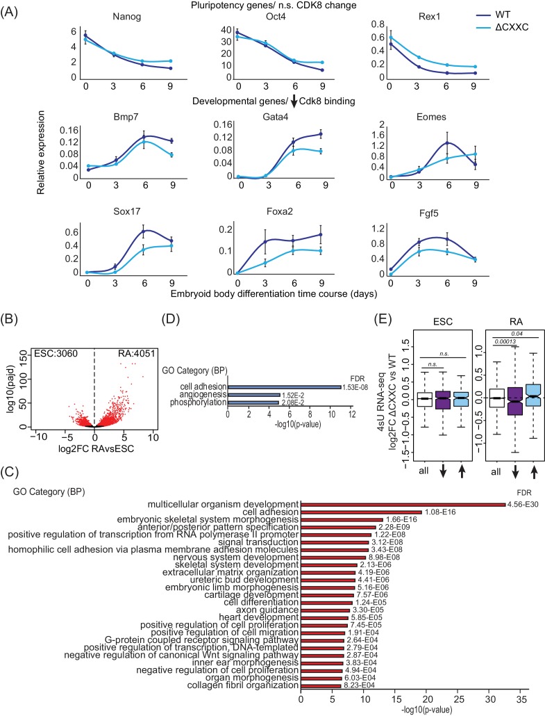 Figure 6—figure supplement 1.