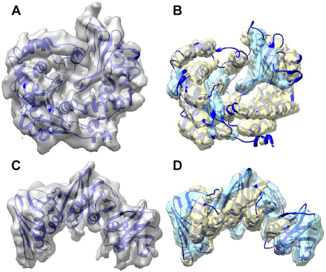 FIGURE 2