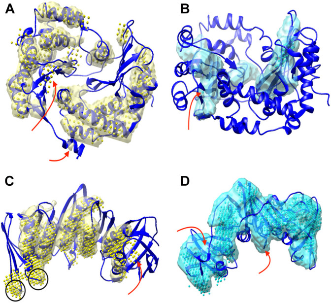 FIGURE 3