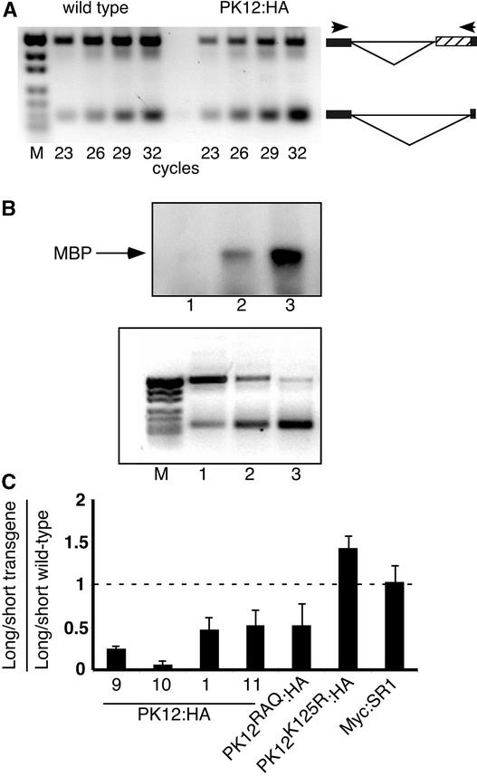 Figure 6.