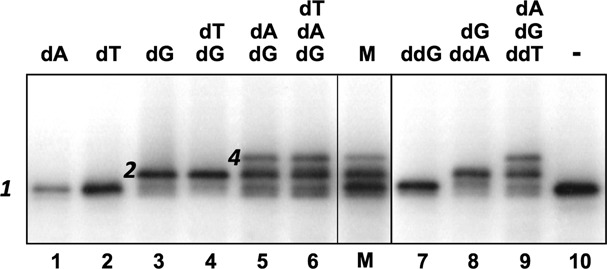 Figure 4.