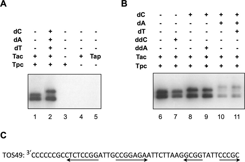 Figure 7.