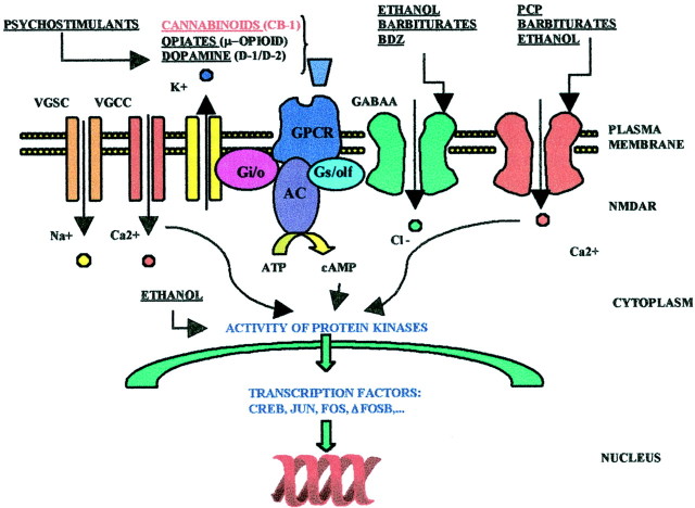 Fig. 1.