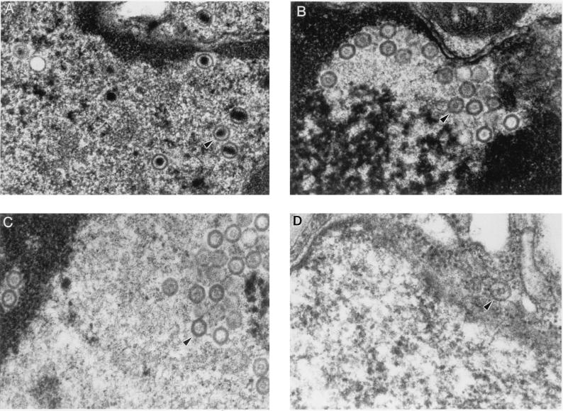 FIG. 5