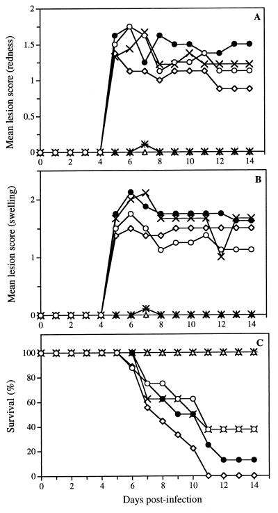 FIG. 9