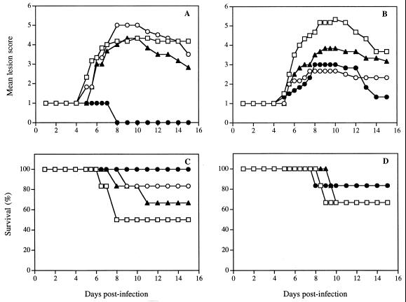 FIG. 7