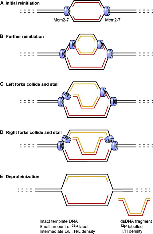 Figure 7