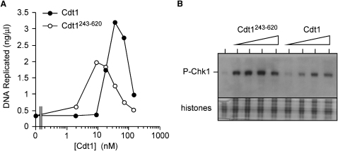 Figure 3