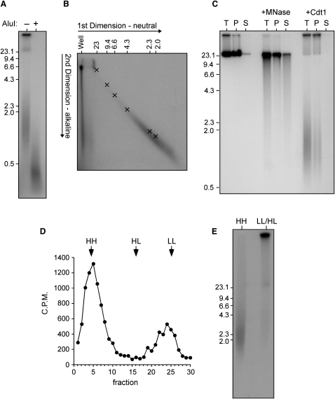 Figure 6