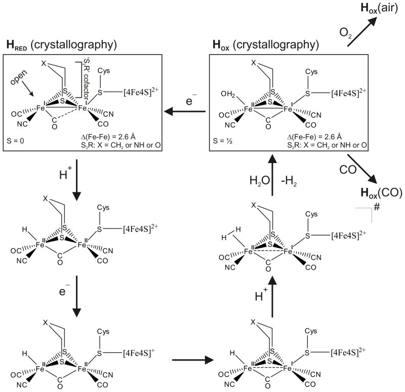 Scheme 1