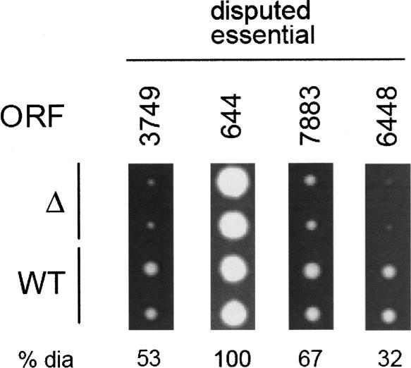 Figure 4.