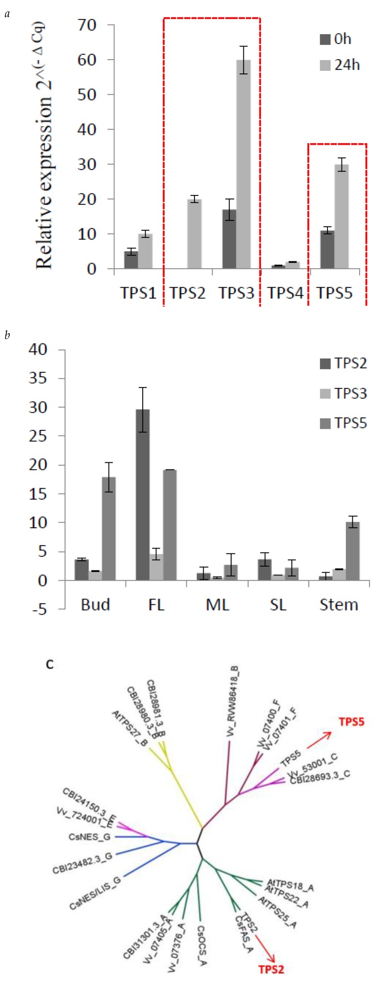 Figure 5