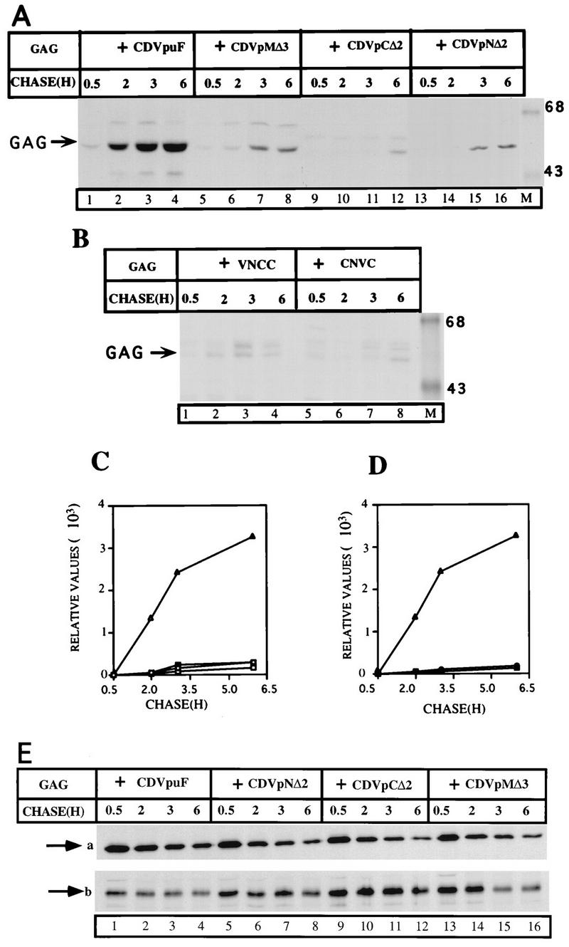 FIG. 4