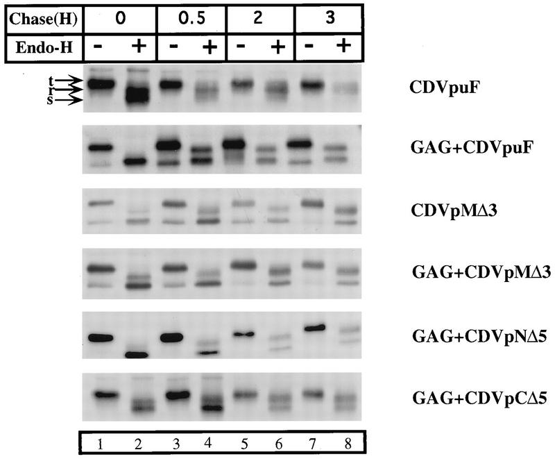 FIG. 5