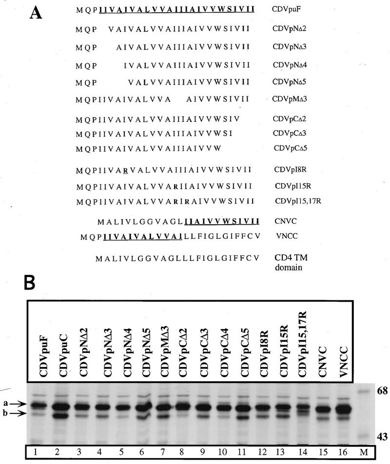 FIG. 3