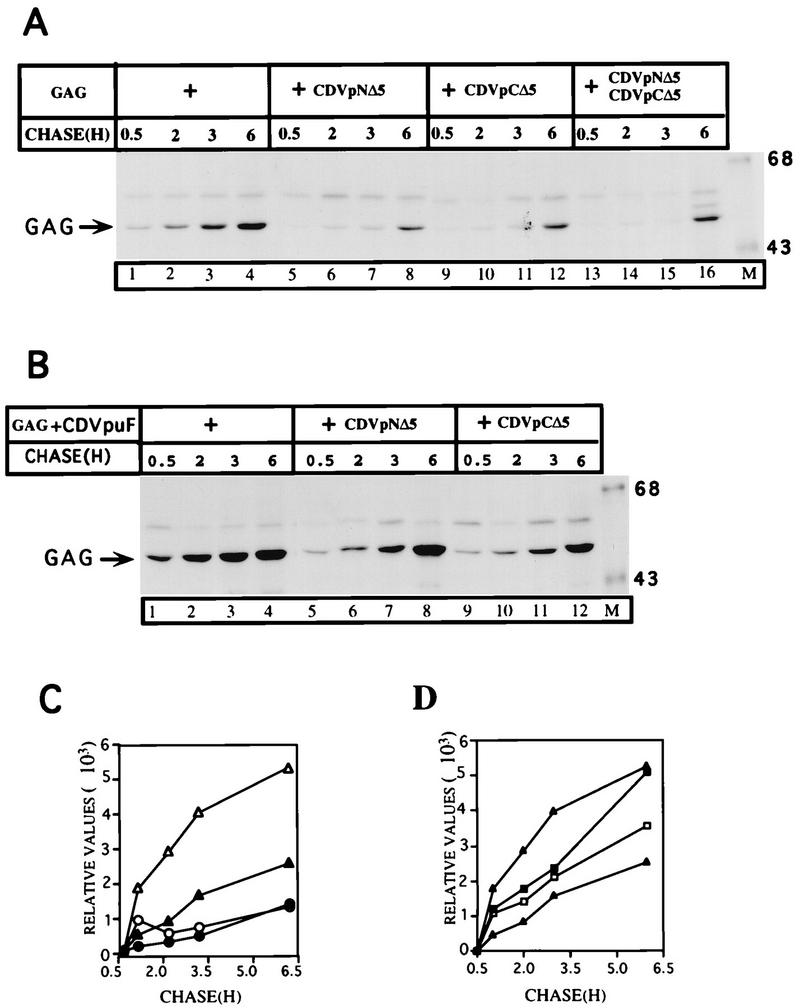 FIG. 8