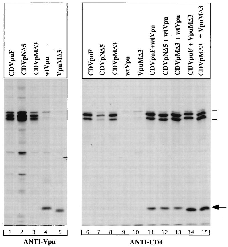 FIG. 7