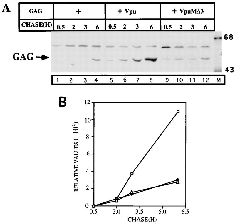 FIG. 6