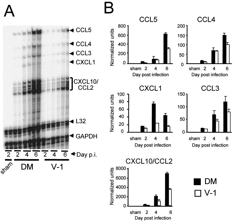 FIG. 6.