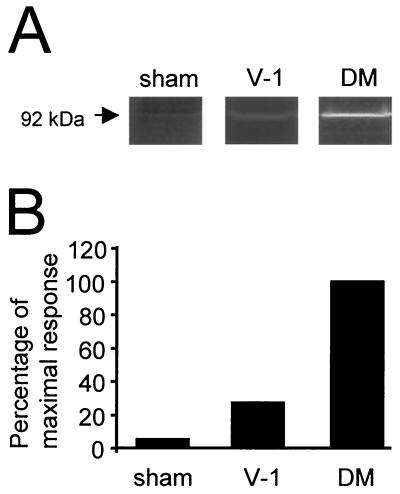 FIG. 8.