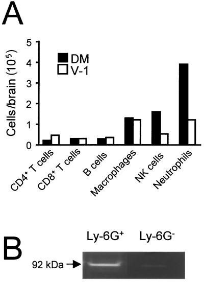 FIG. 9.