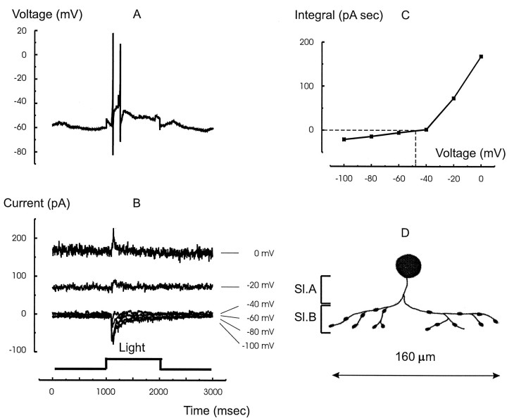 Fig. 3.