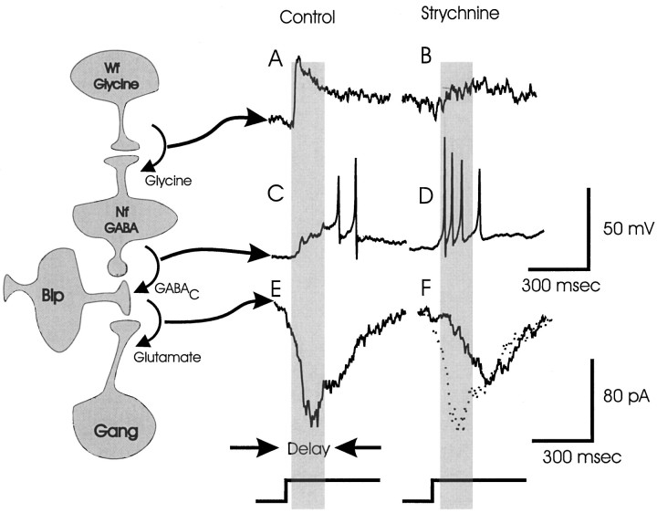 Fig. 9.