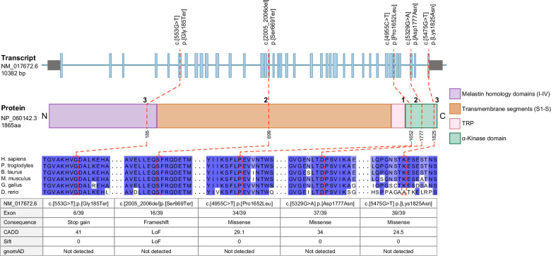 FIGURE 3