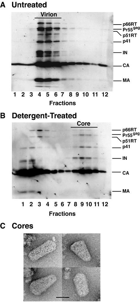 FIG. 3.