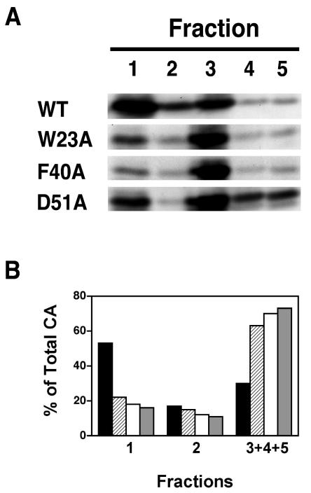 FIG. 5.