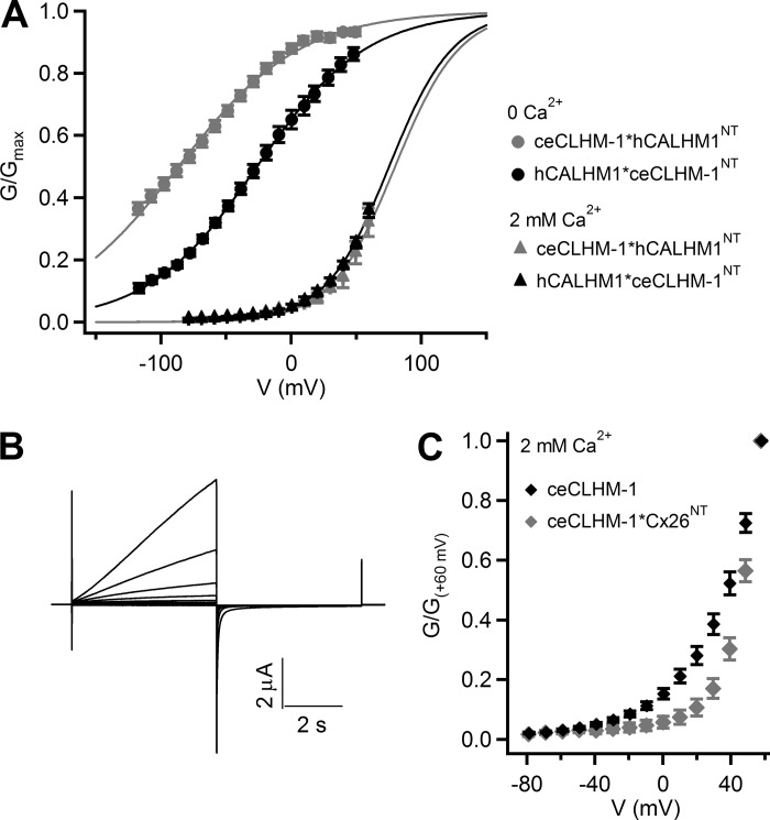 Fig. 9.