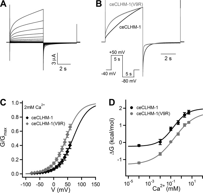 Fig. 10.