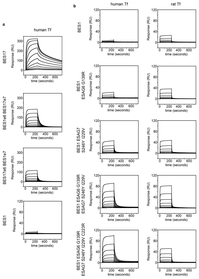 Extended Data Figure 9