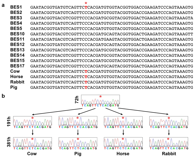 Extended Data Figure 10