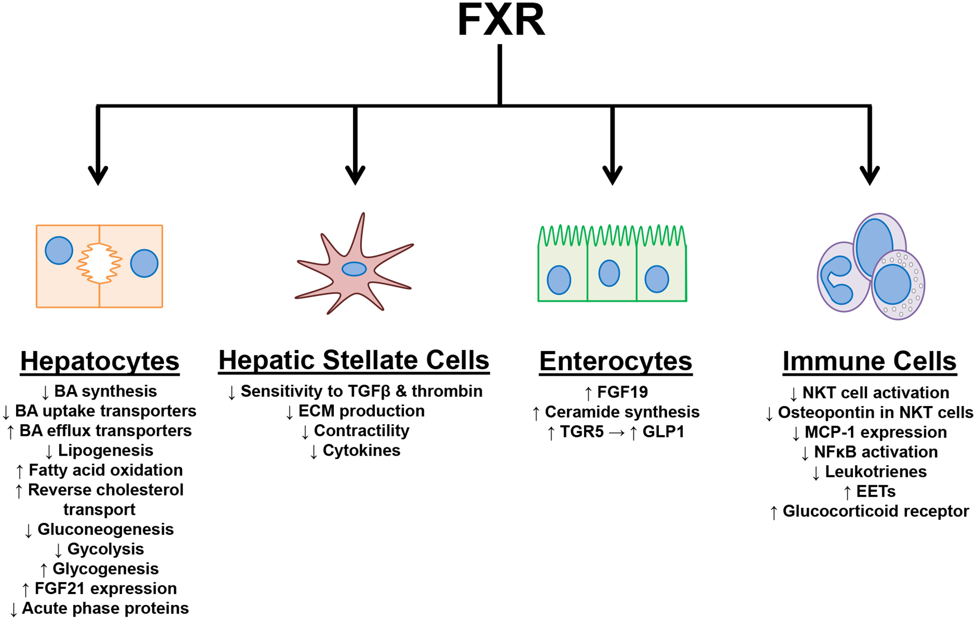 Figure 1–