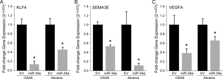 Fig 5